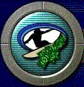 Join CashSurfer